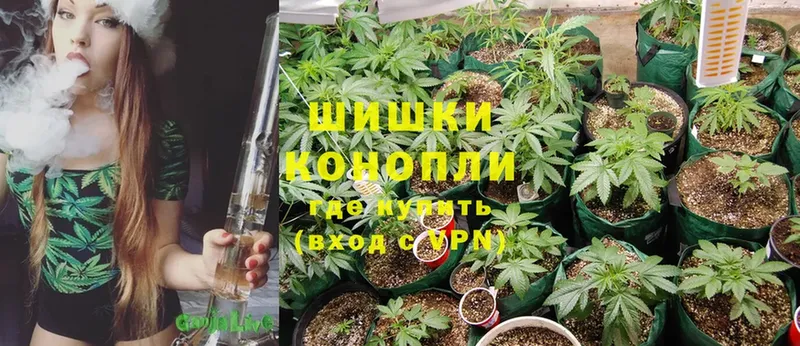 OMG зеркало  Рязань  Каннабис White Widow 